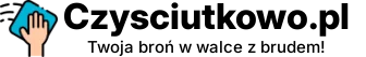 Czysciutkowo.pl - Twoja broń w walce z brudem!